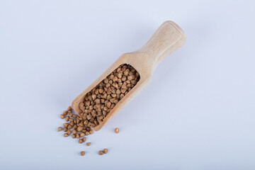Bunch of uncooked buckwheat on wooden spoon
