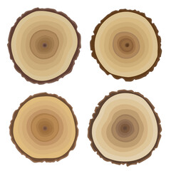 Hand drawn Collection of four saw cut tree trunk. Circular piece of wood cross section with tree ring pattern. Painted natural wood texture. Isolated on a white background. Vector design element.
