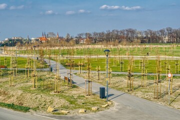 wiosenny widok nowo założonego parku miejskiego w Opolu, młode sadzone drzewa i zielone trawniki, ścieżki spacerowe w parku - obrazy, fototapety, plakaty