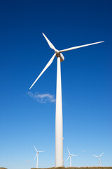 Fototapeta premium Alternative energy concept