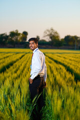 Naklejka na ściany i meble Young Indian agronomist or banker at wheat field