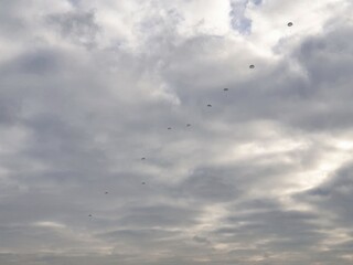 Military Skydiving, sky jumpers on the sky in the bledowska Desert, Poland