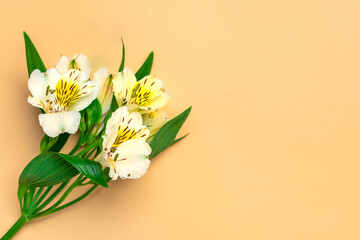 bouquet of alstroemeria flowers isolated on beige background Top view Flat lay Floral holiday card 8 March, Happy Valentine's day, Mother's day, Spring concept Mock up