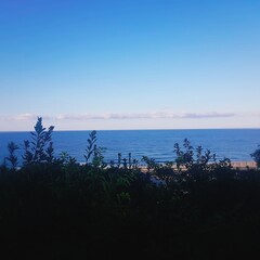 Sky, clouds, sea,tree