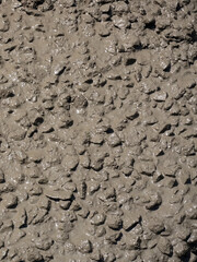 Top view of freshly laid concrete.