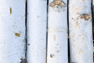 A pile of birch firewood on white background