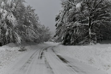 Obraz premium Snowy road with tree branches of the forest filled with fresh snow after a heavy snowfall