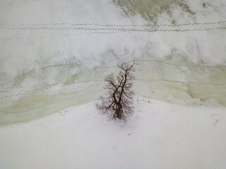 One tree on the banks of a frozen river. Frosty patterns on the ice. Aerial drone view. Foggy winter morning.