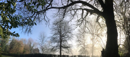 Obraz premium Panorama d'un matin brumeux ensoleillé en hiver à Barré Briec en Bretagne Finistère Cornouailles France 