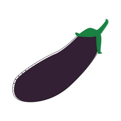 Eggplant in flat style on white background. Nature illustration. Delicious food. Healthy meal.