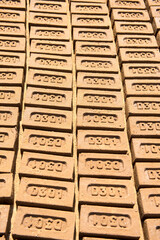 Katni / India 25 October 2017 Manual Bricks in open and sunny places for Drying  in Katni Madhya Pradesh India