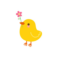 Cute chick with flower isolated on white background.