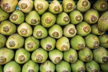 Shirdi  / India 31 May 2018 Pile of green tender coconuts (Cocos nucifera) for sale in a roadside...