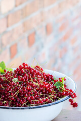 Freshly gathered red juicy and delicious  red currants with green leaves on it  in the white vintage metal bowls on the background of red brick wall, narrow DOF 