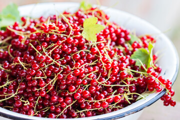 Freshly gathered red juicy and delicious  red currants with green leaves on it  in the white vintage metal bowls on the background of red brick wall, narrow DOF 