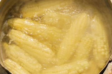 Sweet corn is boiled in a pot of boiling water.