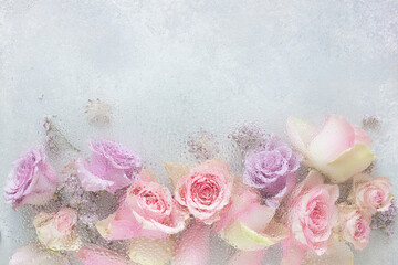 beautiful pink rose flowers through the glass with waterdrops background