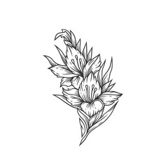 Original monochrome vector illustration of a flower in vintage style.