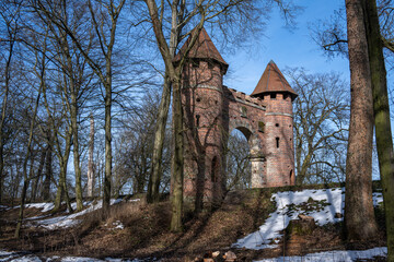 Fototapeta premium Entlang dem Elberadweg zum Sieglitzer Tor 
