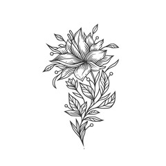 Original monochrome vector illustration of a flower in vintage style.