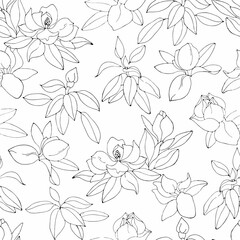 Blooming magnolias. Black outline on a white background. Seamless pattern.