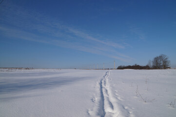 Fototapeta na wymiar snow-covered field in russia