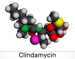 Clindamycin molecule. It is lincosamide antibacterial drug, semisynthetic broad spectrum antibiotic. Molecular model. 3D rendering
