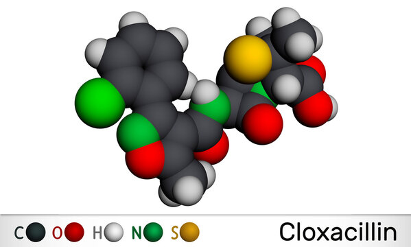 Cloxacillin molecule. It is antibacterial drug, semi-synthetic beta-lactamase resistant penicillin antibiotic. Molecular model. 3D rendering