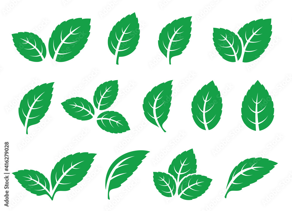 Wall mural set of green leaves mint tea icons