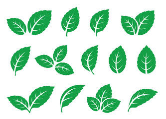set of green leaves mint tea icons - 416279028