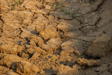 Broken soil conditions Because of the drought