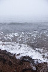 calm  beach landscape with fog