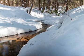 Deep and narrow channels of water through a snowy forest landscape