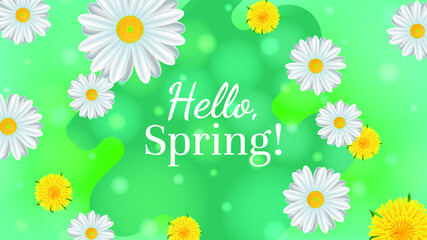 Hello spring baner. Illustration with daisies and dandelions