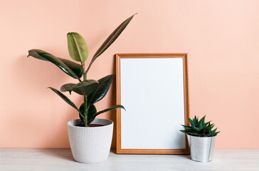 Poster with copy space. Home plant ficus in a pod, cactus in a Scandinavian-style interior. Pastel beige wall, minimalism.