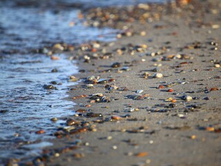 Rocks at the beach of the Baltic Sea