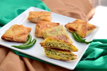 Homemade Martabak Telur, Indonesian cuisine. Pan-fried wrap filled with ground beef, egg and scallion. Served with green chilli Rawit