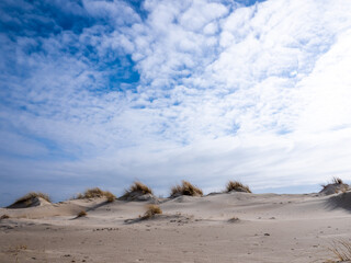 De Hors, Texel