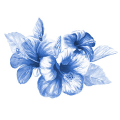 Watercolour blue hibiscus flower bouquet isolated on white. Watercolour blue and white illustration. © Ann Lou