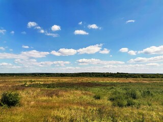 field of grass and sky