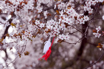 Blooming cherry branches and a symbol of spring from red and white threads among the Slavs. Pizho and Penda are the Bulgarian symbol of the welcome of spring. Martenitsa