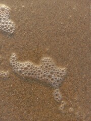 The gathering of air bubbles formed by the waves lapping the coast creates a beautiful abstract image