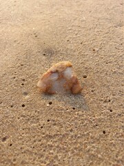 The stones with beautiful patterns are placed on the sandy beach, making the color harmonious and beautiful