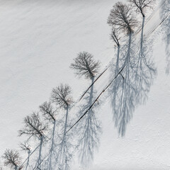 Fototapeta na wymiar Aerial view over the rural fields in winter season