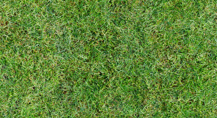 Fully seamless authentic real mown grass green background. 40 Mpix tileable both vertically and...