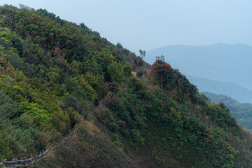 Fototapeta na wymiar Hiking walkway near the cliff on the green forest mountain 