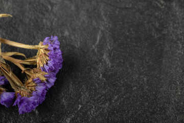 Dried purple flowers on a black background