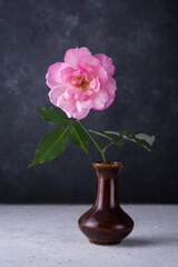 fresh single pink rose in a brown vase, placed on a white spotted background, isolated against a backdrop