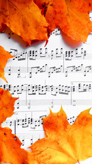 fallen yellow maple leaves on a sheet of music