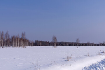 snow glade between winter forest and road